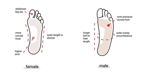 Difference Between Foot And Feet