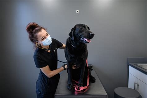 Animal Hospital Facility