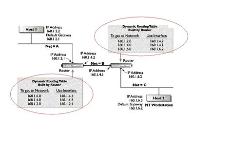 Image result for Static vs Dynamic Routing