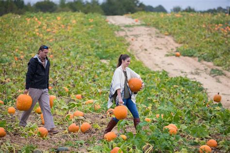Richmond area Pumpkin Patches, Corn Mazes, and Fall Fun Farms ...