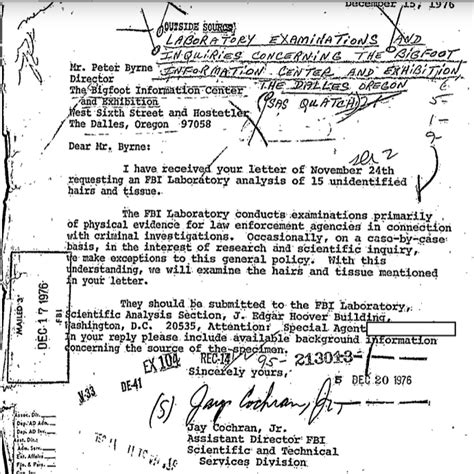 Videos: The FBI’s ‘Bigfoot files’ are a classified investigation into ...