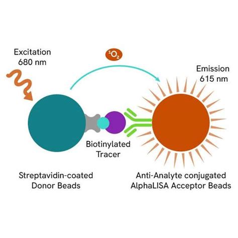 AlphaLISA IP-One Detection Kit, 10,000 Assay Points | Revvity