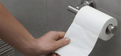 Toilet Roll Holders: The Subtle Detail That Redefines Bathroom Design