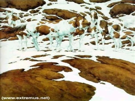 Image result for Understanding Perception