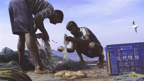 Against The Tide - A Documentary About The Existential Crisis Of The ...