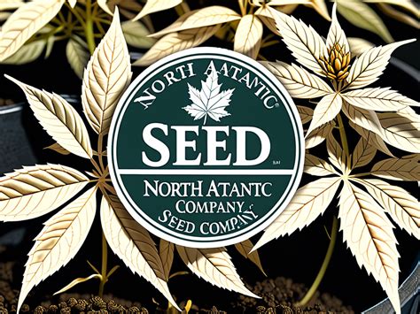 North Atlantic Seed Company: Cultivating Growth with Quality Seed Varieties