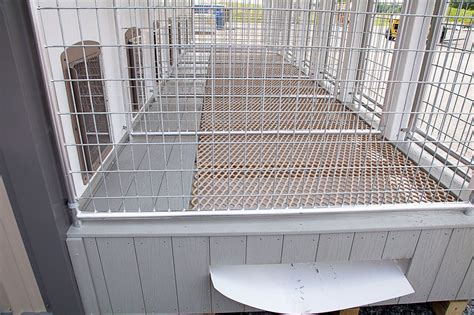 Dog Kennel Fencing and Flooring Options | The Dog Kennel Collection