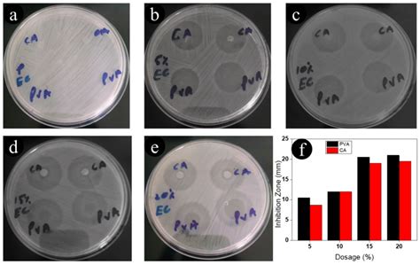 Fabrication of Ceftriaxone-Loaded Cellulose Acetate and Polyvinyl ...