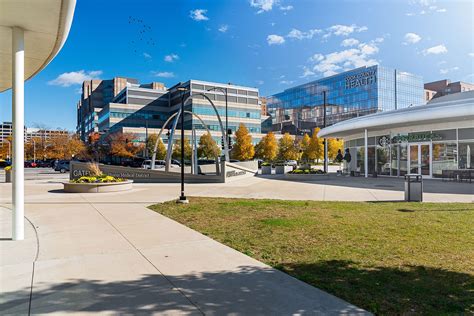 East Lake Management In Michigan at Susan Pittman blog