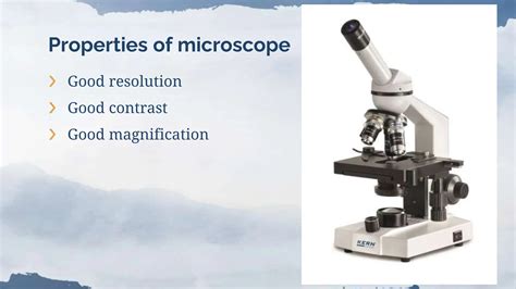 Microscope Example Slide 的图像结果