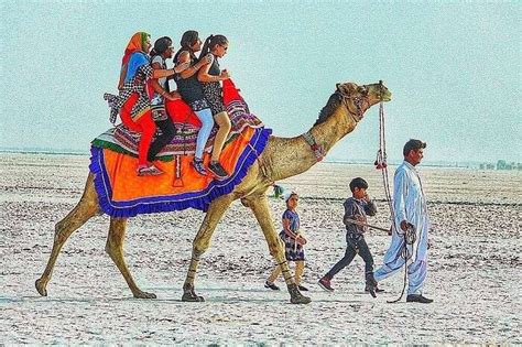 11 Things To Do In Dwarka For An Exciting Gujarat Vacation