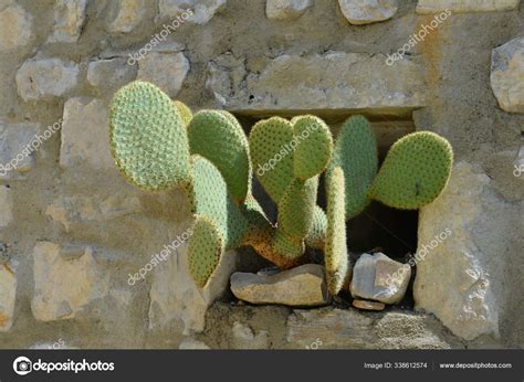 Old Hamlet Mirabel Blacons Stock Photo by ©PantherMediaSeller 338612574