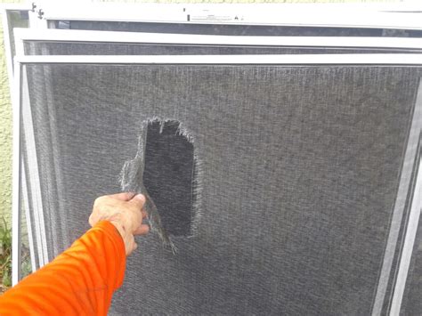 Image result for Window Screen Repair Service