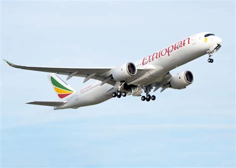 Africa World 的图像结果