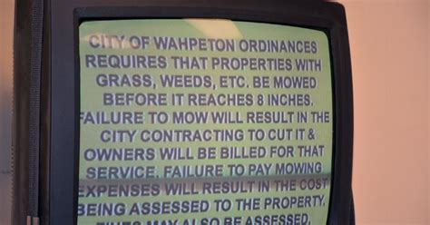 Channel 12 Local News 的图像结果