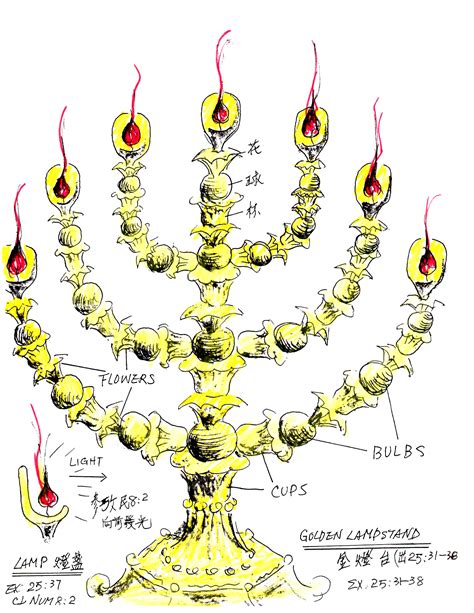 Lampstand In The Tabernacle Meaning at Imogen Repin blog