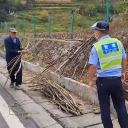 老两口高速旁捡干柴 民警劝离排除隐患_田淳_王全香_铜仁