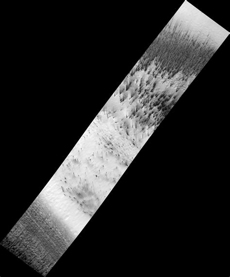 HiRISE | Dust Fans on the Seasonal Carbon Dioxide Polar Cap (PSP_003180 ...