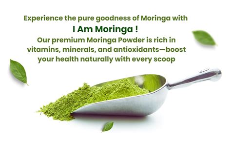 I AM MORINGA Moringa Powder 1kg 100% Natural Drumstick Leaf Powder Good ...