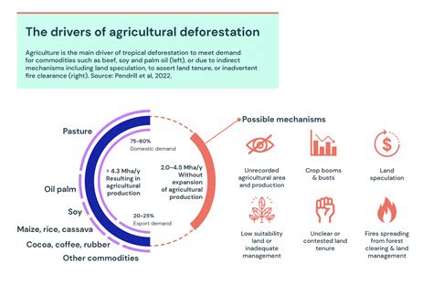 Deforestation 的图像结果
