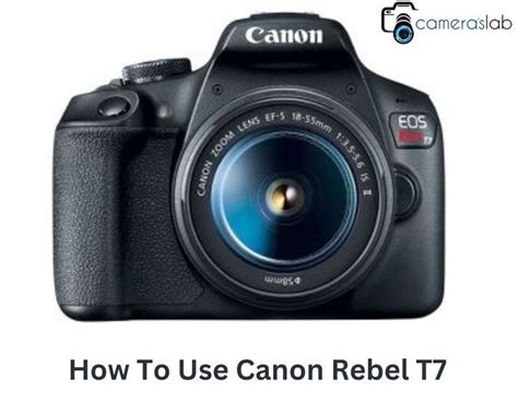Canon EOS T7 Tutorial 的图像结果