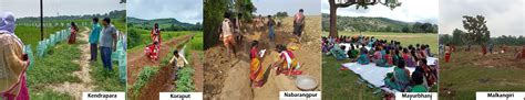 OSSAAT-Odisha Society for Social Audit Accountability and Transparency ...