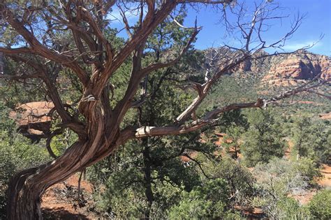 Sedona: 3 Easy Vortex Hikes that should be on your list • Outside ...