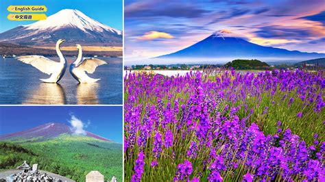 Japan 富士山 的图像结果