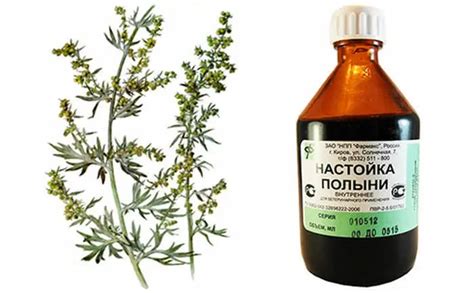 Настойка полыни - рецепт настойки из травы полыни - действие, свойства ...