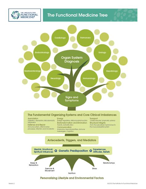 What Is Functional Medicine