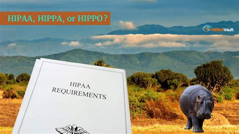 HIPAA, HIPPA, or HIPPO? - Hosting & Cloud Solutions - HIPAA Compliant ...