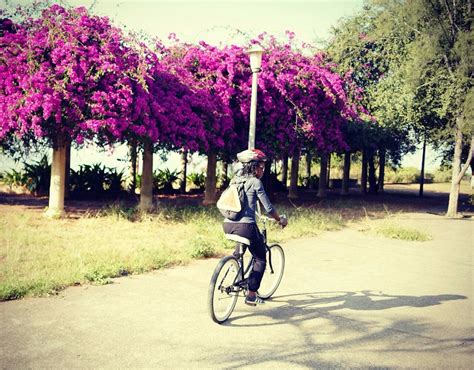 BIKE & SADDLE TRIPS (2026) All You Need to Know BEFORE You Go (with ...