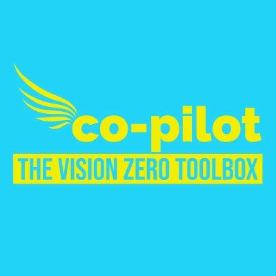 Co-Pilot Control System Logo 的图像结果
