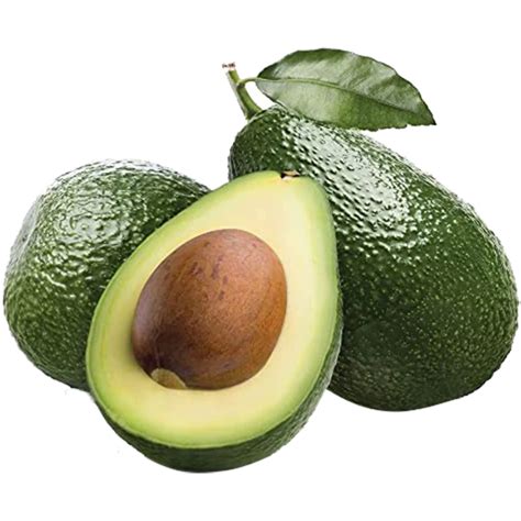 Avocado Fruit TKD1 Plants (Persea Americana) – veliyathgardens