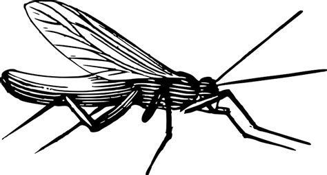 iCLIPART 的图像结果