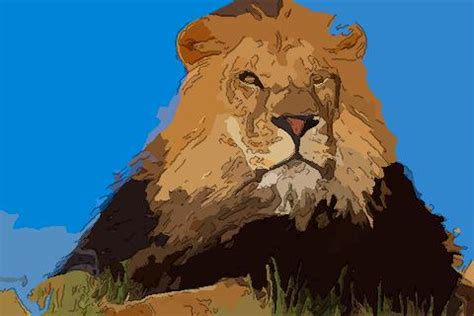 梦见驯化狮子 周公解梦之梦到驯化狮子 是什么征兆？