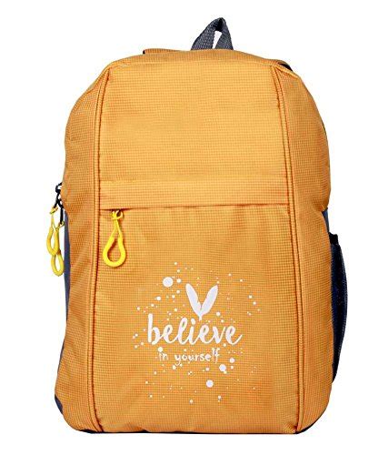 Buy BLUE SKY Azurite 20L Orange Casual Backpack for Travel School ...