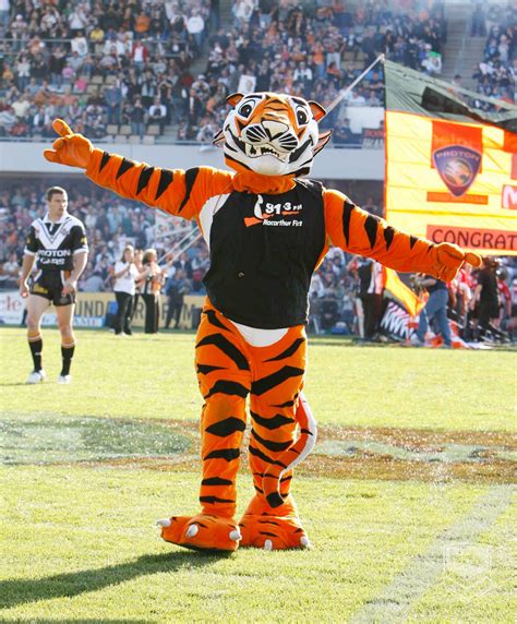 Wests Tigers Mascots | Wests tigers, Rugby league, Mascot