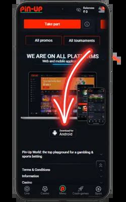 PinUp Casino App India - Download for Android & iOS (9.8 MB)