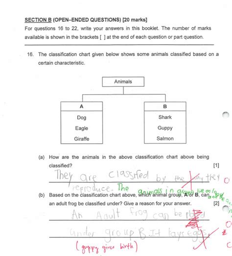 Image result for Classification Key Questions Animals