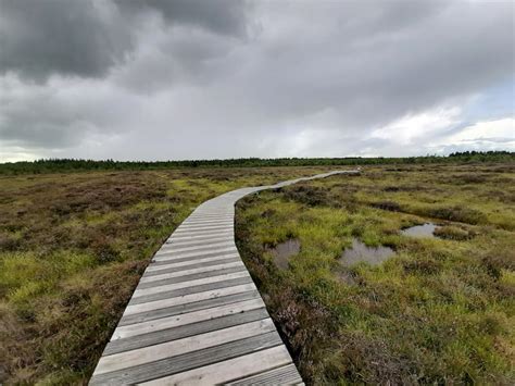 What violent secrets do ancient bog bodies hold? – The Irish Times