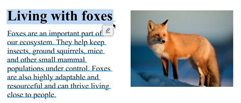Image result for Can Firefox Open HTML Files