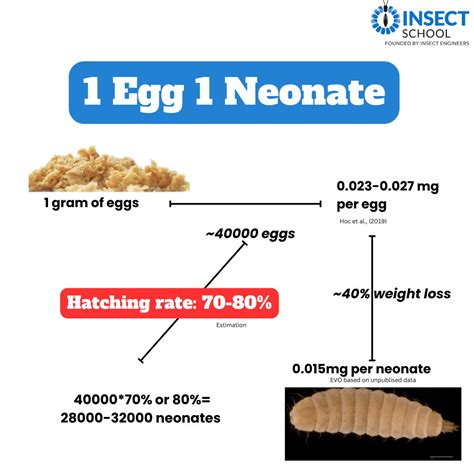 Q&A: What is the weight of one egg? What is the weight of one neonate - Insect School