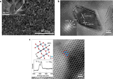 Morphology and characterization of single-crystalline TiO2... | Download Scientific Diagram