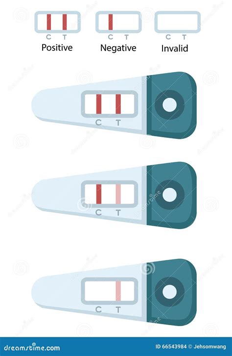 Pruebas De Embarazo Positivas Y Negativas Ejemplo En W Ilustración del Vector - Ilustración de ...