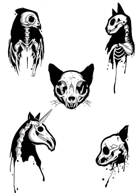 Cat Skull Drawings