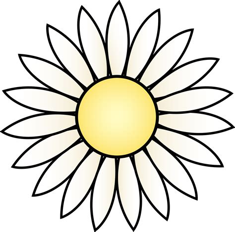 White daisys clipart 19 free Cliparts | Download images on Clipground 2025