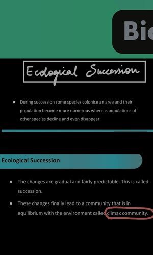 Environment Basics 2 Flashcards | Quizlet