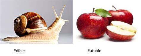 Edible vs. Eatable - Make Your English Easy