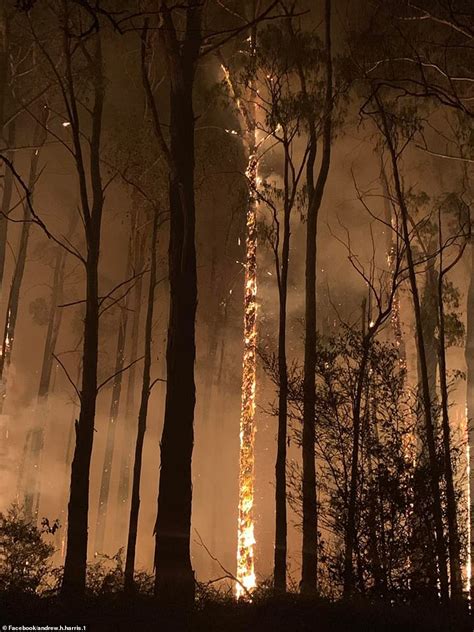 CFA volunteers hit back at reports they didn’t do a good enough job ...